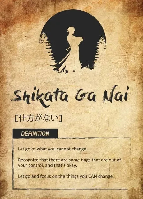 Japanese Success Concepts Inspirational Offer Poster Kaizen Oubaitori Ikigai Asian Spirit Canvas Prints Wall Picture Home Decor